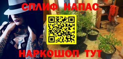 ПСИЛОЦИБИНОВЫЕ ГРИБЫ Вязники