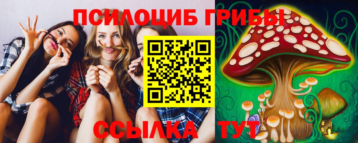 Псилоцибиновые грибы Cubensis  Вход с VPN  Кириши  Псилоцибиновые грибы Psilocybe 