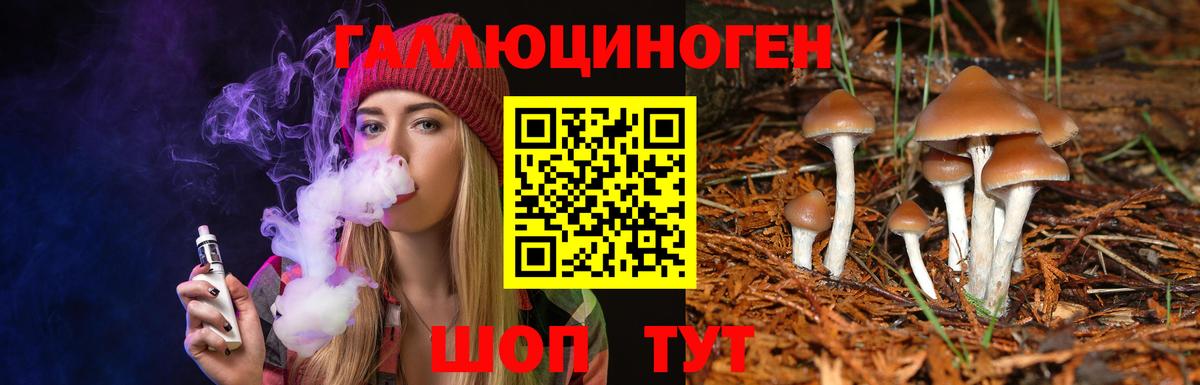 Псилоцибиновые грибы Cubensis Кириши
